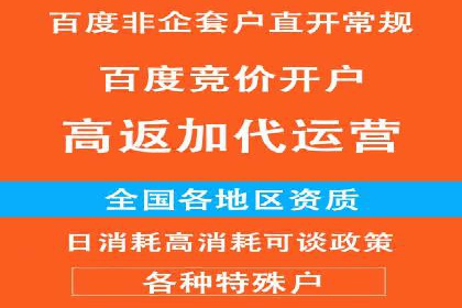 SEO技术突破：某网站流量暴增的背后故事